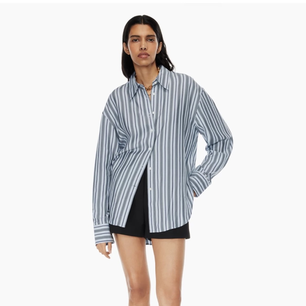 Aritzia Button Down Essential Relaxed Shirt